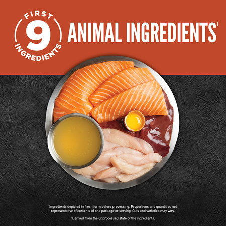 Orijen Chunks & Shreds Salmon & Chicken Entrée Wet Cat Food