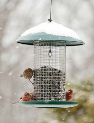 Woodlink Green Steel Magnum Sunflower Feeder