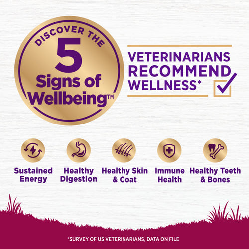 Wellness Complete Health Natural Small Breed Puppy Healthy Weight Turkey, Oatmeal and Salmon Meal Recipe Dry Dog Food
