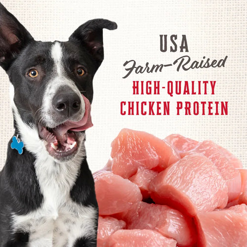 Wholesomes™ Rewards Medium Original Dog Treats