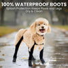 Walkee Paws Deluxe Dog Boot Leggings