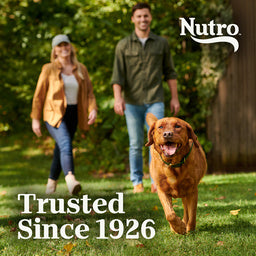 Nutro Natural Choice Senior Pasture-Fed Lamb & Rice Dry Dog Food