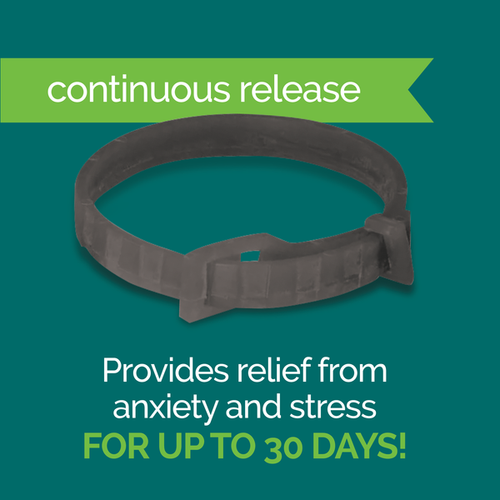 Vetality Harmony Pet Calming Collar for Dogs 1ct