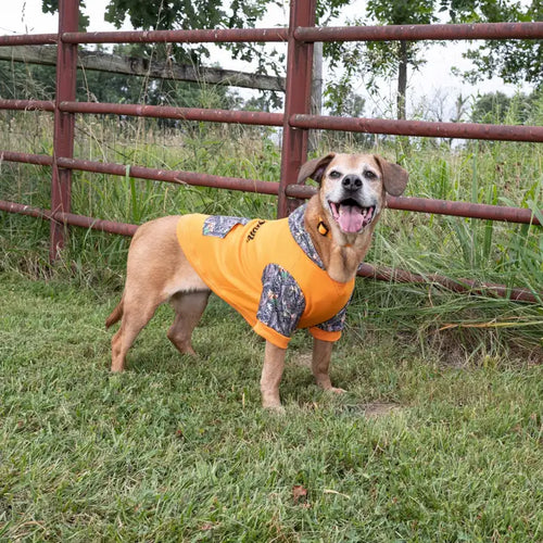 Remington Orange Camo Dog Hoodie
