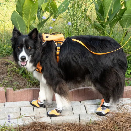 Remington Orange Protective Pet Booties