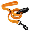 Remington Orange Dog Lead