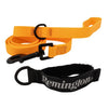 Remington Orange Dog Lead