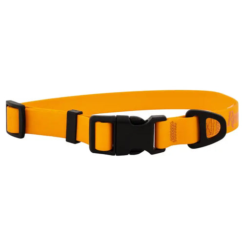 Remington Orange Dog Collar