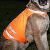 Wrangler	Orange Hi-Vis Safety Dog Vest