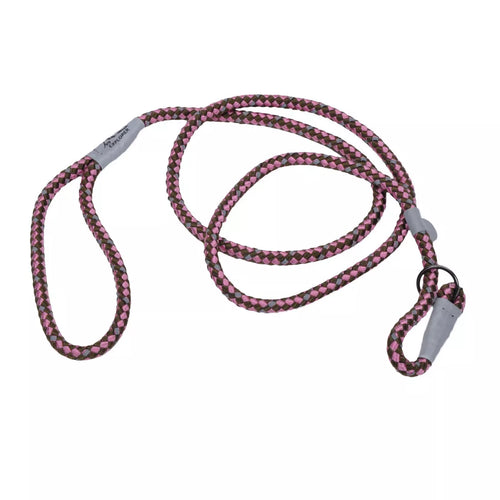 Coastal K9 Explorer Reflective Braided Rope Slip Dog Leash