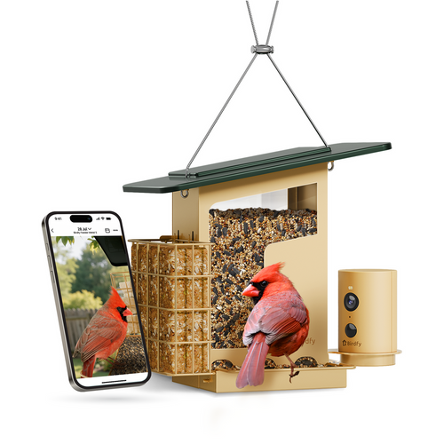 Birdfy Feeder Metal Smart Metal Feeder with Camera