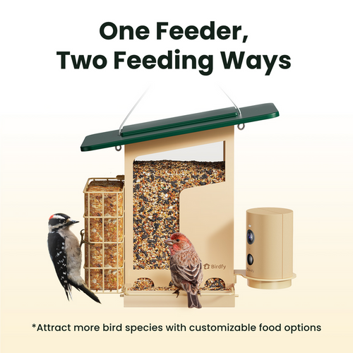 Birdfy Feeder Metal Smart Metal Feeder with Camera