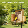 Birdfy Feeder Metal Smart Metal Feeder with Camera