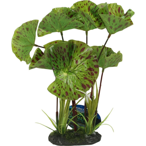 COLOR BURST FLORALS TROPICAL GARDENS LOTUS PLANT